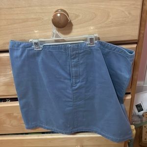 Blue J.Crew skirt.